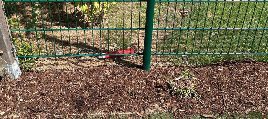 Jardin Bonnevoie