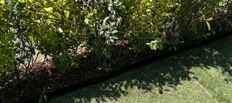Jardin Bonnevoie